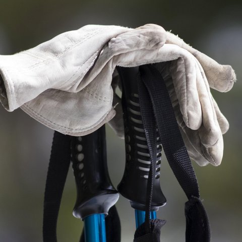 Carbon trekking poles