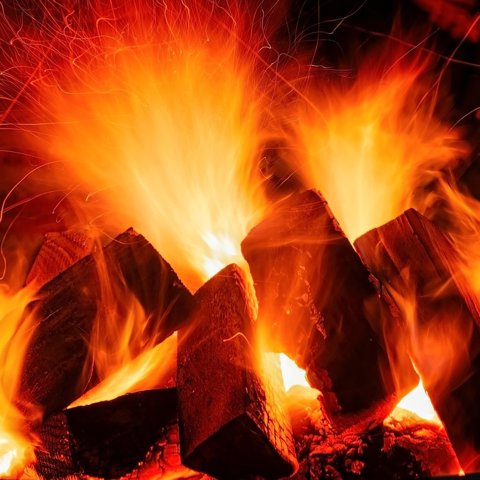 Firewood and kindling bundle