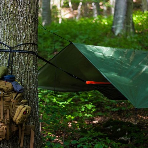 Hex tarp shelter
